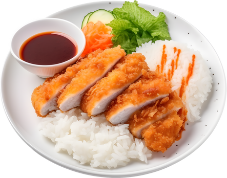 Chicken katsu with rice, japanese food.